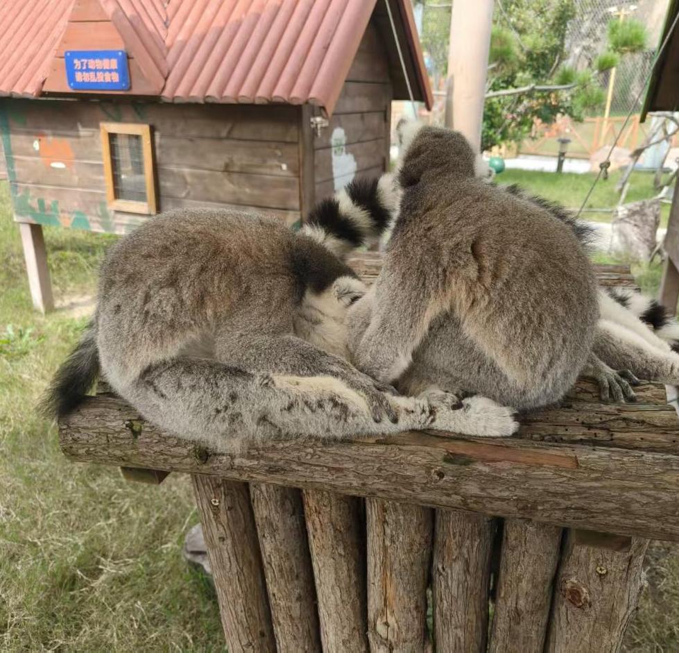 微信图片_20251219190258_56_1.jpg 微信图片_20251219190258_56_1.jpg