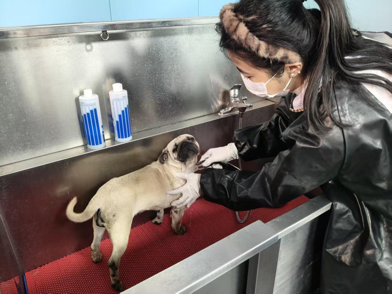 微信图片_20251219192105_59_1.jpg 微信图片_20251219192105_59_1.jpg