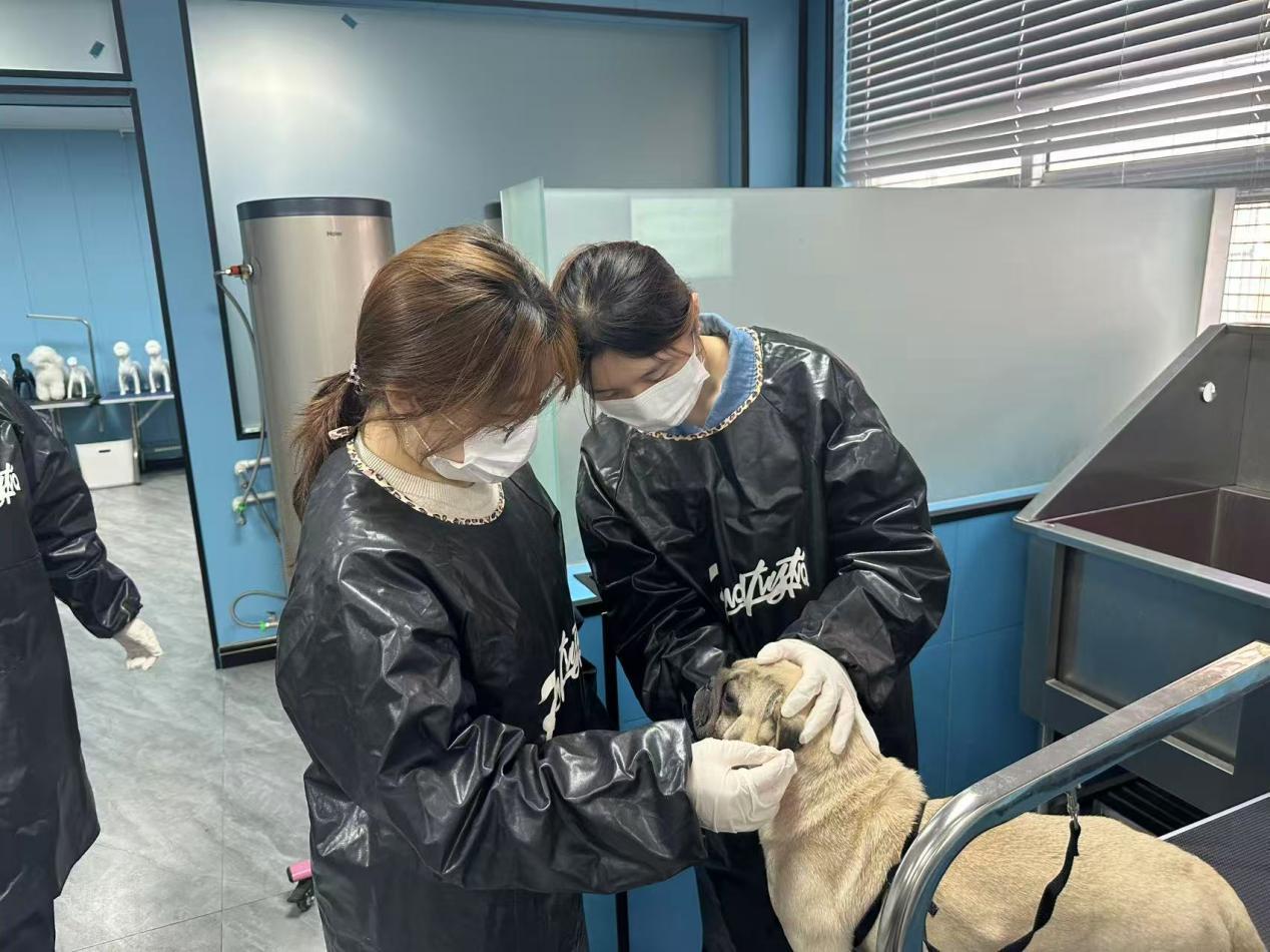 微信图片_20251219192108_60_1.jpg 微信图片_20251219192108_60_1.jpg