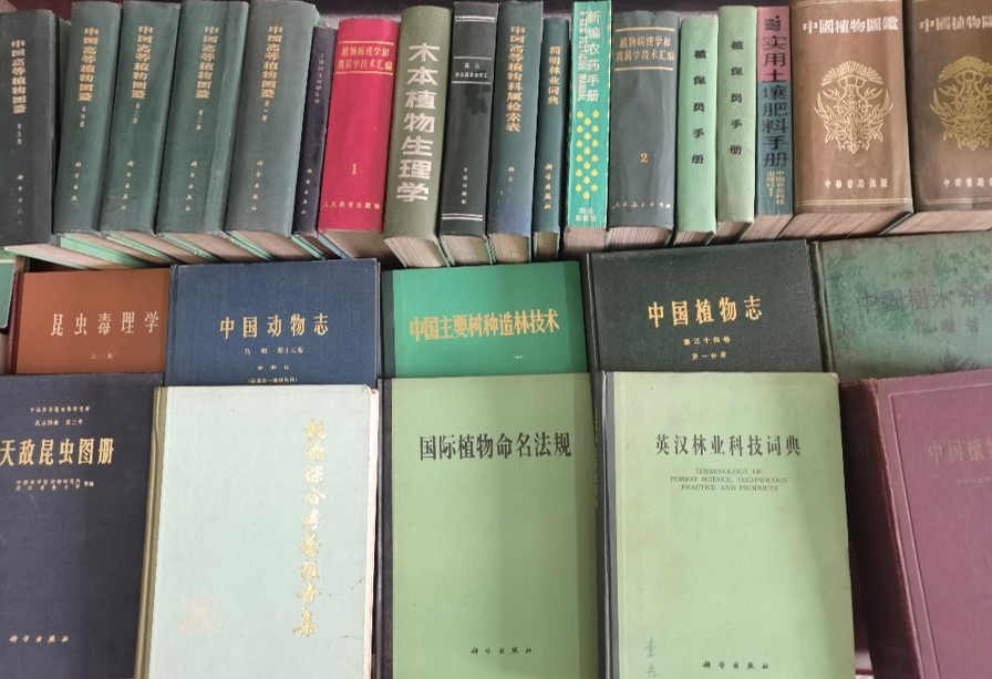 照片.jpg