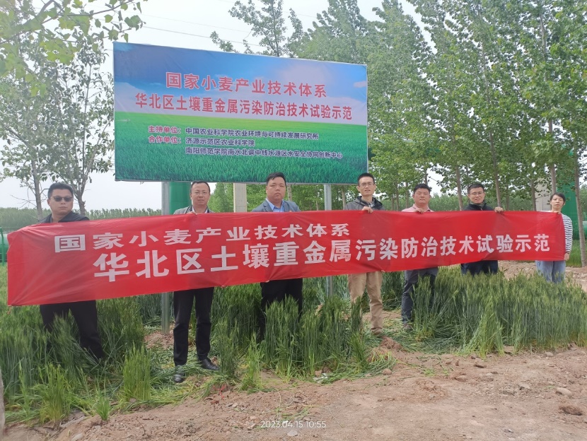 耕地安全利用示范.jpg