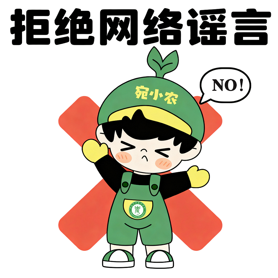 拒绝谣言.png