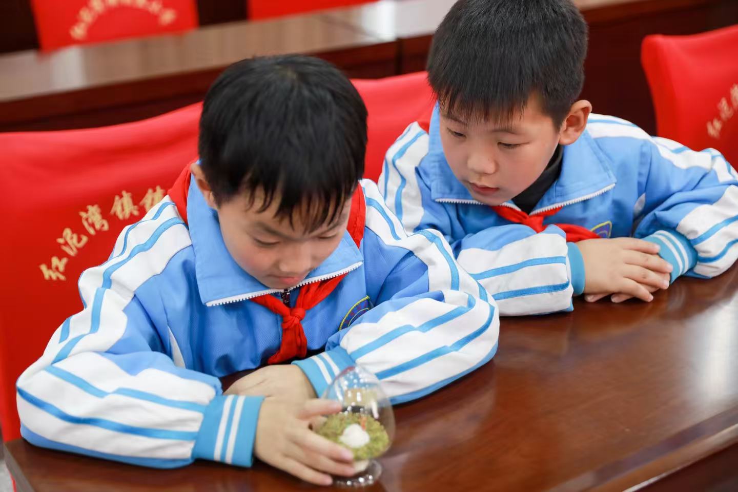 微信图片_20251114222625_48_21.jpg 微信图片_20251114222625_48_21.jpg