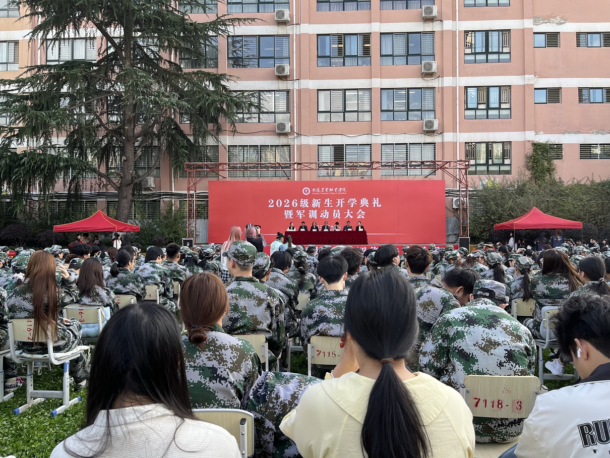 b4c139eac8209cdf5997c428236ddfec.jpg