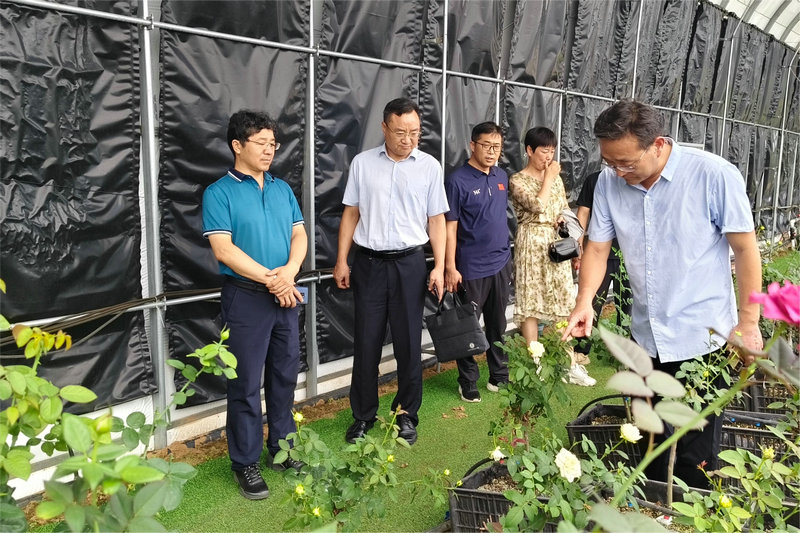 mmexport1722478893108.jpg mmexport1722478893108.jpg