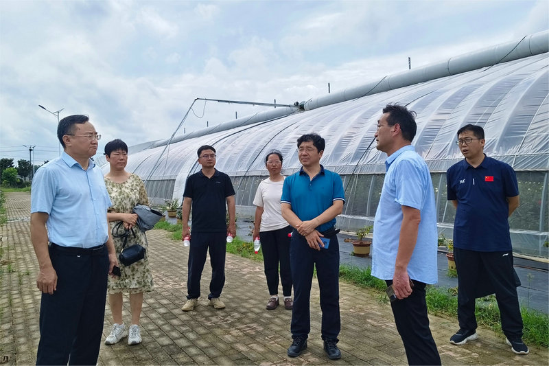 mmexport1722478888990.jpg mmexport1722478888990.jpg