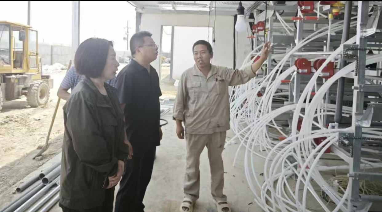 66551db6ea491bcb6159f136c227f286.jpg 66551db6ea491bcb6159f136c227f286.jpg